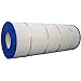 Waterway Clearwater II 200 SF ctdge p/n 817-0200N (PWWCT200) (C-8419) (FC-1288)