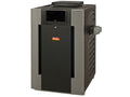 Raypak Digital 360k BTU Propane Gas Pool Heater -P-R406A-EP-X