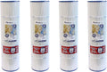 Pentair Clean & Clear Plus 420, 520 (pre 1998), American Quantum CM & RPM 125/500, Waterway Crystal Water 425 (Set of 4)