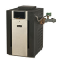 Raypak B-R268ENX 266,000 BTUs Pro Series Pool and Spa Heater - Natural Gas