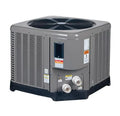 Raypak 62,000 BTU Residential Pool & Spa Gas Heater -TWPH-3450EHT08