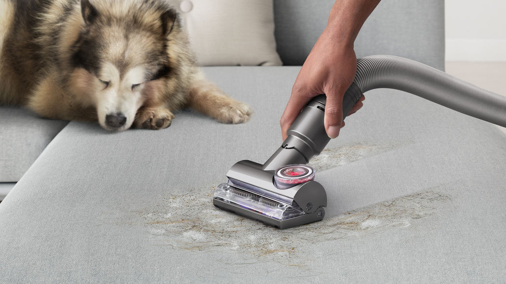 Dyson Ball Animal 3 De-Tangling Vacuum For Homes with Pets