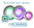 Hayward ColorLogic® 4.0 LED Spa Light, 120V/100 Ft Cord Stainless Steel