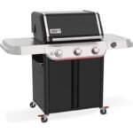 barbecue-a-gas-weber-genesis-e-325_726ba8a0-f921-4093-9707-58257e0f4364.jpg