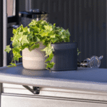 lidyas-product-273-image-1.png
