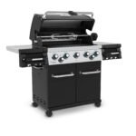 Regal590.jpg